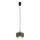 Argon 8815 - Lustr na lanku TEVO 1xG9/4,5W/230V zelená