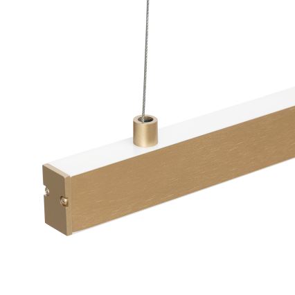 Argon 8836 - LED Lustr na lanku MIAMI LED/37W/230V 3000K zlatá