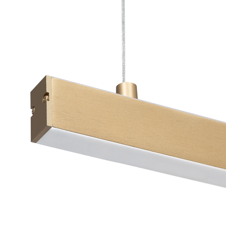 Argon 8836 - LED Lustr na lanku MIAMI LED/37W/230V 3000K zlatá