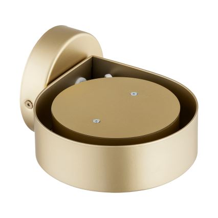 Argon 8899 - Nástěnné svítidlo LOTUS 1xGX53/12W/230V zlatá