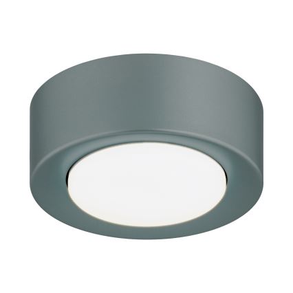 Argon 8917 - Stropní svítidlo ELORA 1xGX53/7W/230V pr. 11 cm šedá