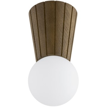 Argon 8974 - Koupeln stropní svítidlo VOLANTE 1xG9/6W/230V IP44 pr. 12 cm hnědá