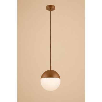 Argon 8998 - Venkovní lustr na lanku LIV 1xE27/15W/230V IP44 hnědá