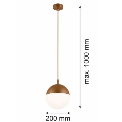 Argon 8998 - Venkovní lustr na lanku LIV 1xE27/15W/230V IP44 hnědá