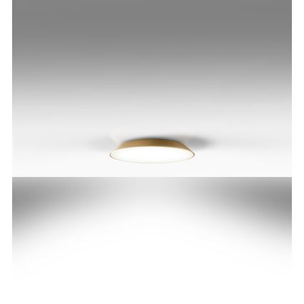 Artemide AR 0241320A - LED Stropní svítidlo FEBE 4xLED/30W/230V