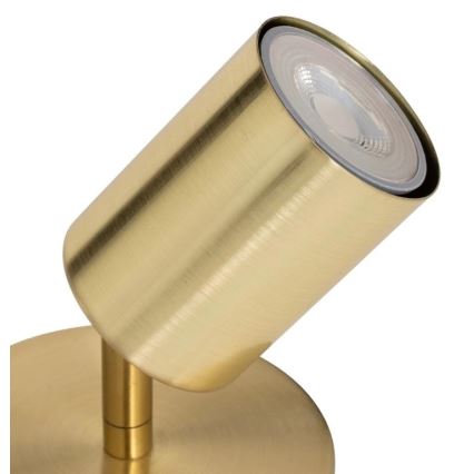 Atmosphera - Nástěnné bodové svítidlo VICO 1xGU10/25W/230V zlatá