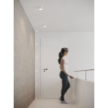 Azzardo AZ2253 - LED Stropní svítidlo MONZA LED/5W/230V