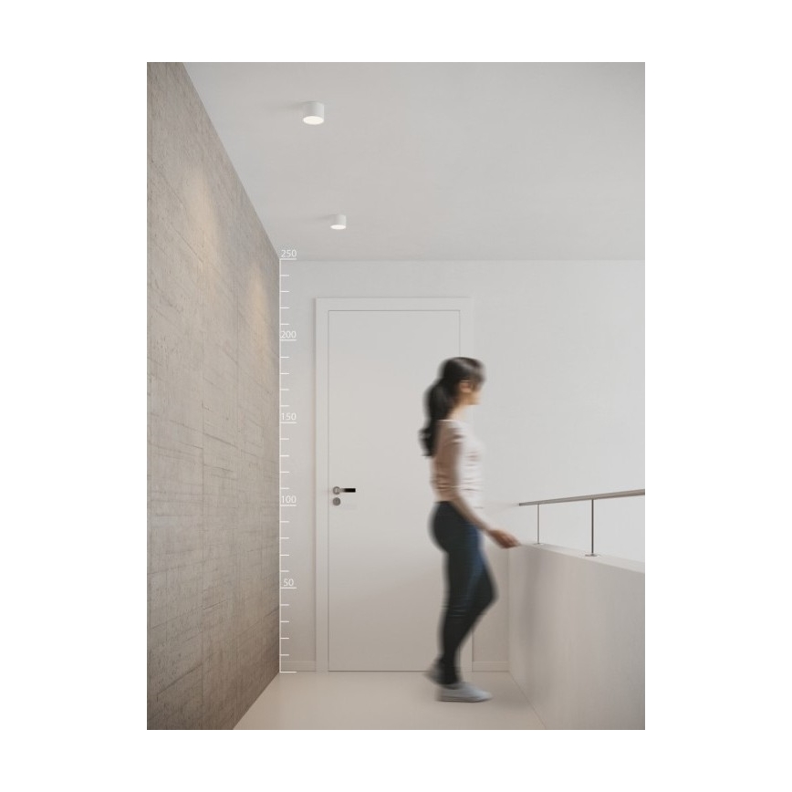 Azzardo AZ2253 - LED Stropní svítidlo MONZA LED/5W/230V