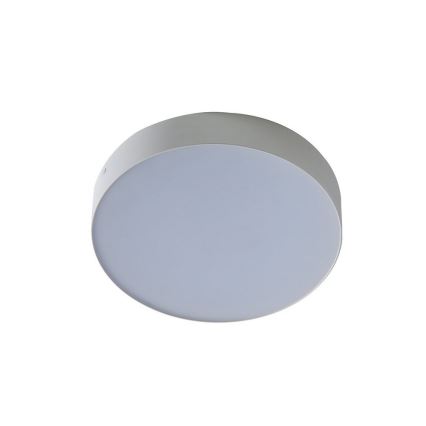 Azzardo AZ2261 - LED Stropní svítidlo MONZA 1xLED/20W/230V