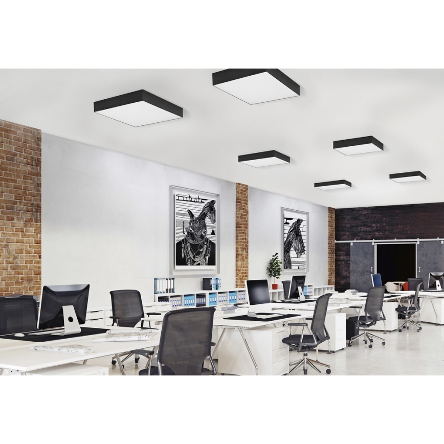 Azzardo AZ2274 - LED Stropní svítidlo MONZA SQUARE 1xLED/50W/230V