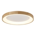 Azzardo AZ2698 - LED Stropní svítidlo SILVAM LED/50W/230V
