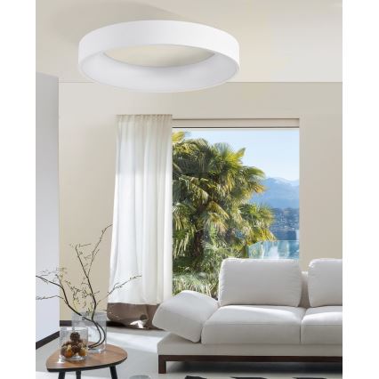 Azzardo AZ2724 - LED Stmívatelné stropní svítidlo SOVANA 1xLED/50W/230V + dálkové ovládání