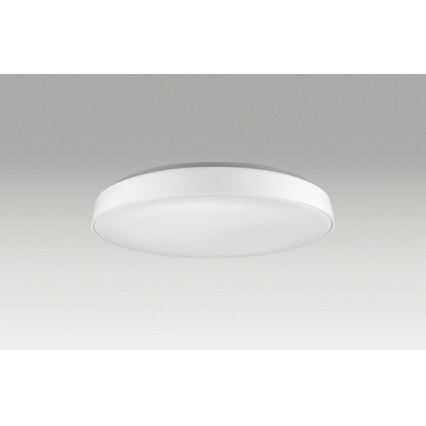 Azzardo AZ2741 - LED Stropní svítidlo CORTONA 1xLED/50W/230V 3000K