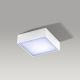 Azzardo AZ2781 - LED Stropní svítidlo FALCO LED/12W/230V