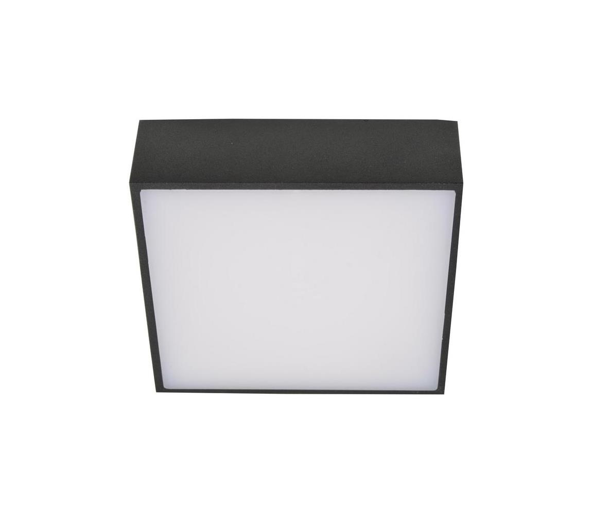 Azzardo Azzardo AZ2783 - LED Stropní svítidlo FALCO LED/12W/230V AZ2783