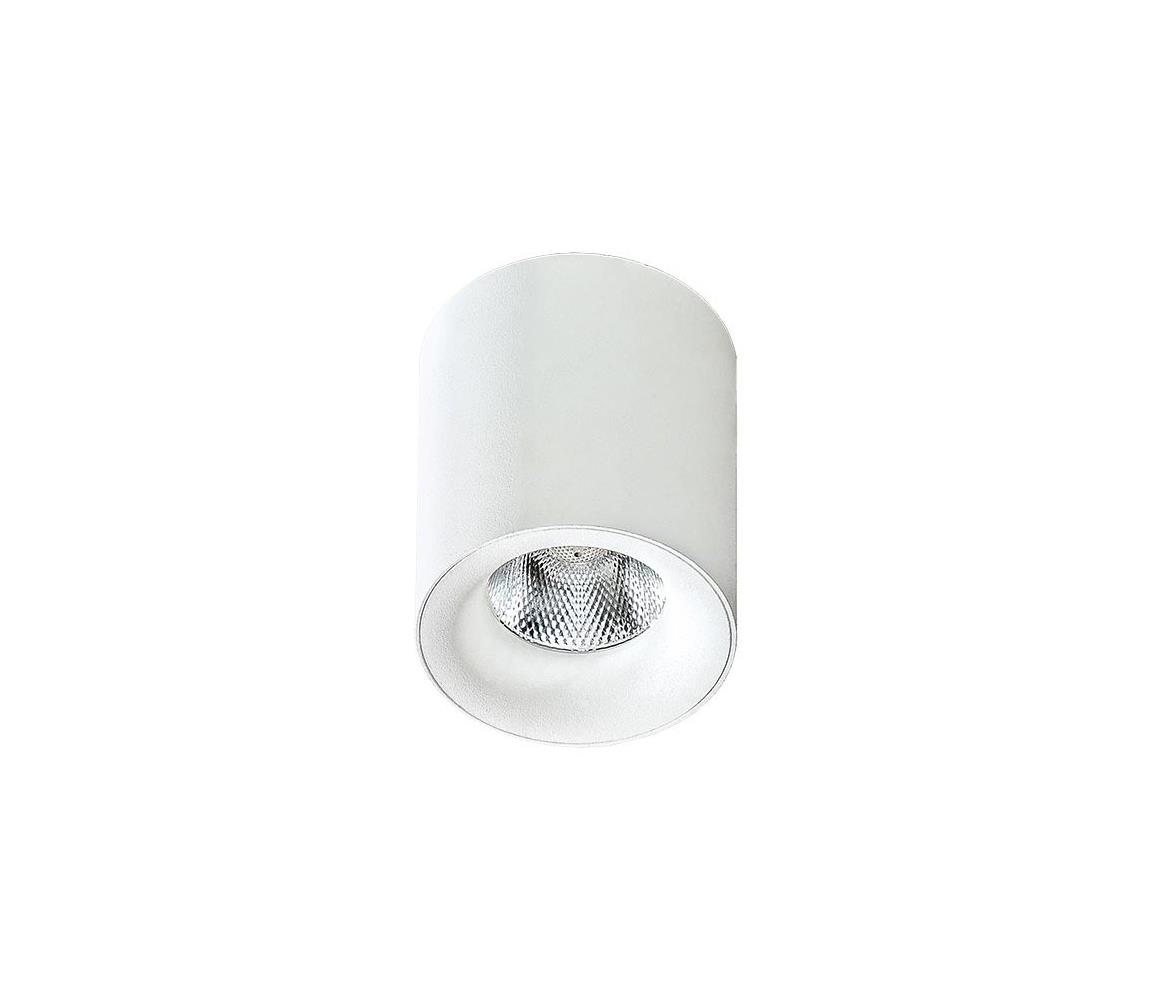 Azzardo Azzardo AZ2845 - LED Stropní svítidlo MANE 1xLED/10W/230V AZ2845