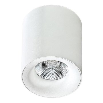 Azzardo AZ2845 - LED Stropní svítidlo MANE LED/10W/230V