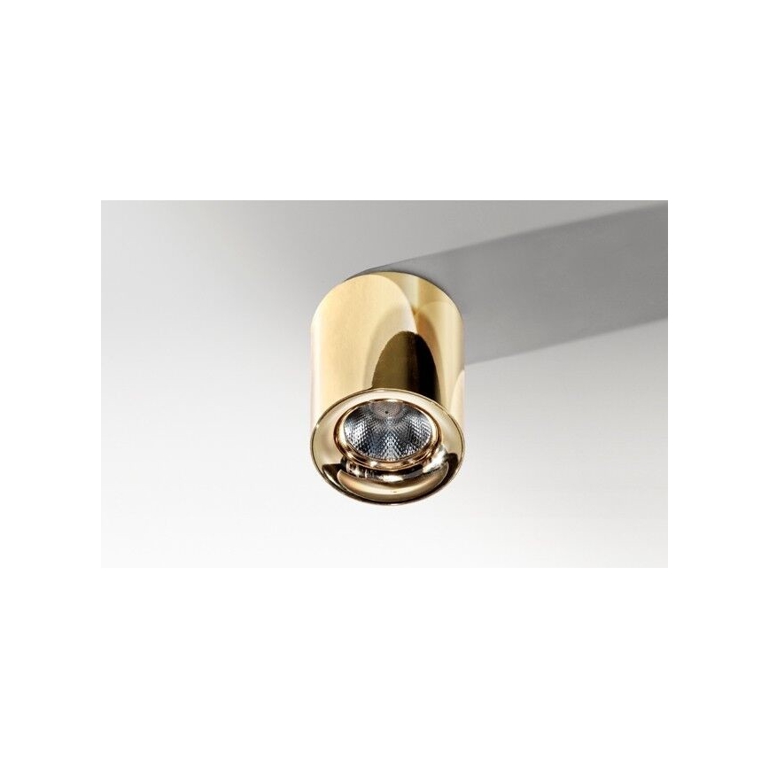 Azzardo AZ2846 - LED Stropní svítidlo MANE 1xLED/10W/230V