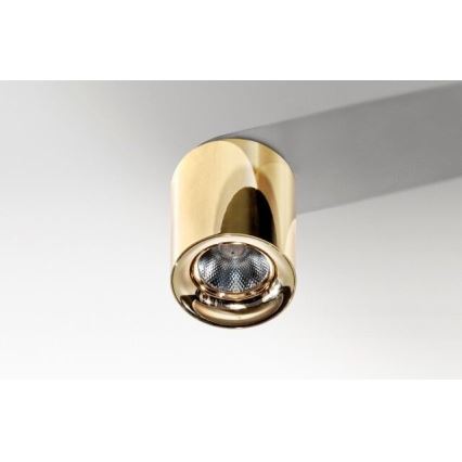 Azzardo AZ2846 - LED Stropní svítidlo MANE LED/10W/230V