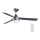BAYSIDE 531017 - Stropní ventilátor MEGARA 2xE14/15W/230V antracit pr. 122 cm + dálkové ovládání