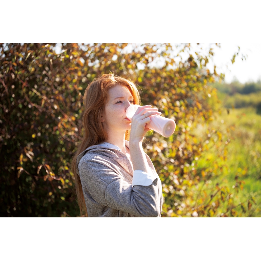 BerlingerHaus - Smoothie mixér 250W/230V černá/rose gold