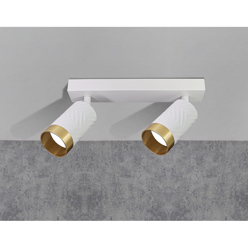 Bodové svítidlo ARRAS 2xGU10/10W/230V bílá