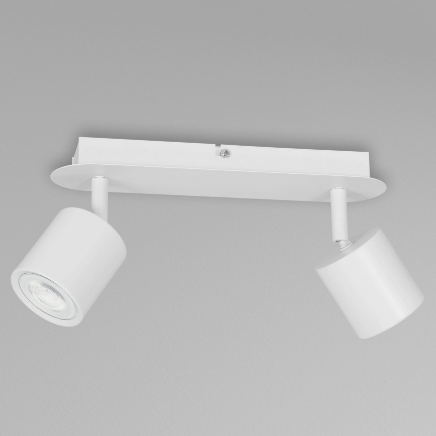 Bodové svítidlo DEMIA 2xGU10/8W/230V bílá