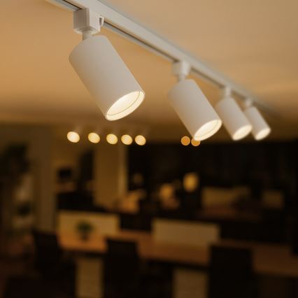 Bodové svítidlo do 1-fázového lištového systému TIGER 1xGU10/10W/230V bílá