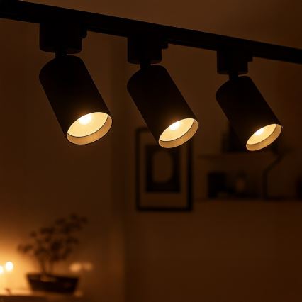 Bodové svítidlo do 1-fázového lištového systému TIGER 1xGU10/10W/230V černá