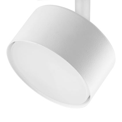 Bodové svítidlo do 1-fázového lištového systému AVIA 1xGX53/15W/230V bílá