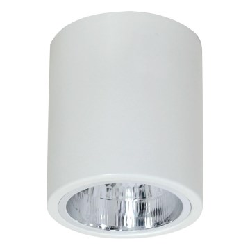 Bodové svítidlo DOWNLIGHT ROUND 1xE27/60W/230V Bodové svítidlo DOWNLIGHT ROUND 1xE27/60W/230V