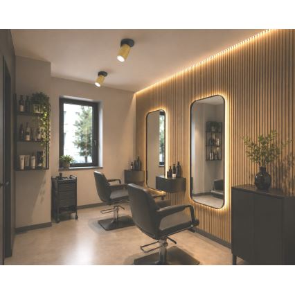Bodové svítidlo ELAN 1xGU10/30W/230V zlatá/černá