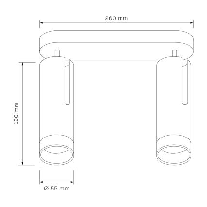 Bodové svítidlo FADO 2xGU10/10W/230V bílá