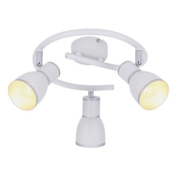 Bodové svítidlo FIDO 3xE14/40W/230V bílá