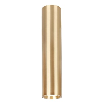 Bodové svítidlo GENESIS 1xGU10/8W/230V 30 cm zlatá