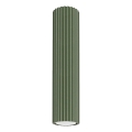Bodové svítidlo KARBON 1xGU10/10W/230V 30 cm zelená