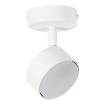 Bodové svítidlo NEMO 1xGX53/12W/230V bílá