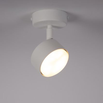 Bodové svítidlo NEMO 1xGX53/12W/230V bílá