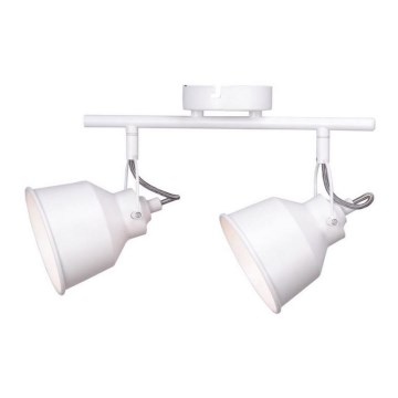 Bodové svítidlo NIKO 2xE14/8W/230V
