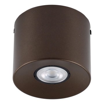 Bodové svítidlo ORION 1xGU10/10W/230V 9 cm hnědá
