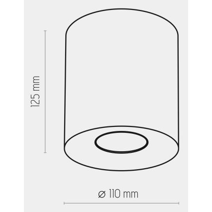 Bodové svítidlo ORION 1xGU10/10W/230V bílá