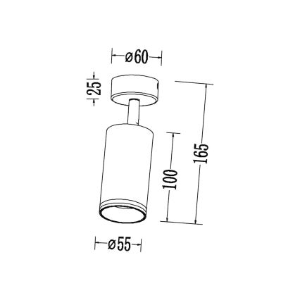 Bodové svítidlo PIPE 1xGU10/10W/230V bílá