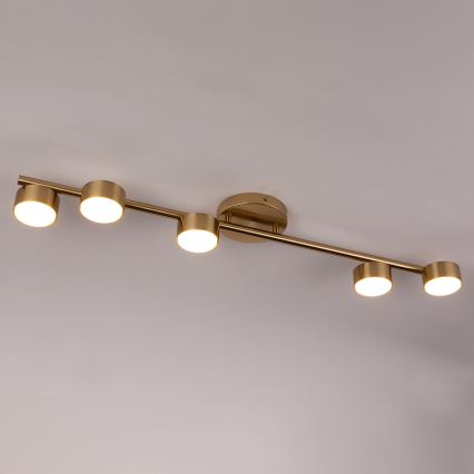Bodové svítidlo PUNTO 5xGX53/12W/230V zlatá