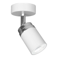 Bodové svítidlo RENO 1xGU10/60W/230V bílá/chrom