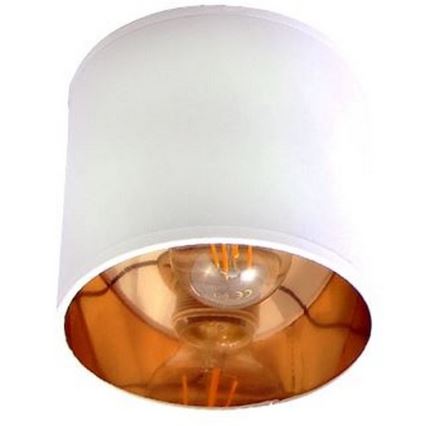 Bodové svítidlo SOFIA 2xE27/60W/230V bílá