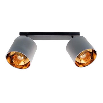 Bodové svítidlo SOFIA 2xE27/60W/230V šedá