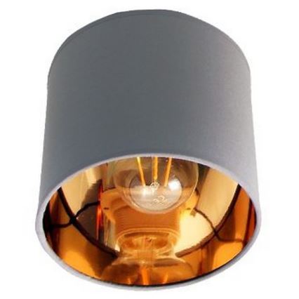 Bodové svítidlo SOFIA 2xE27/60W/230V šedá