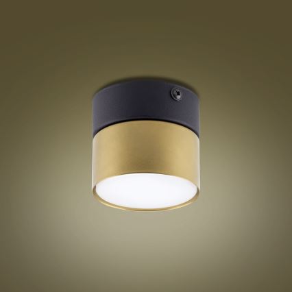 Bodové svítidlo SPACE GOLD 1xGX53/15W/230V