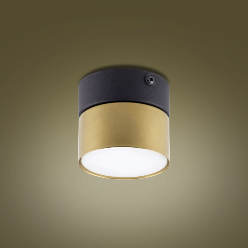 Bodové svítidlo SPACE GOLD 1xGX53/15W/230V