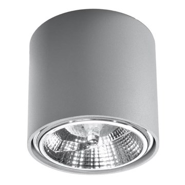 Bodové svítidlo TIUBE 1xGU10-AR111/10W/230V